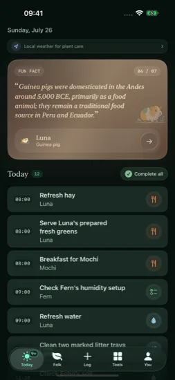 Current Today screen in the Pine palette, dark mode