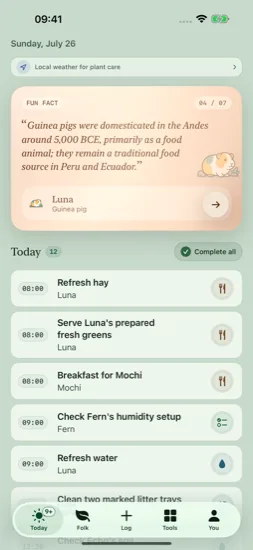 Current Today screen in the Pine palette