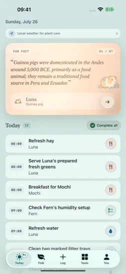 Current Today screen in the Tide palette