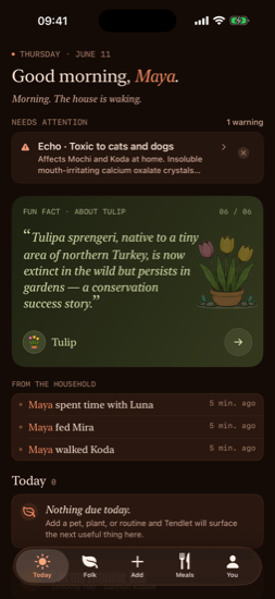 Today screen in the Terracotta palette, dark mode