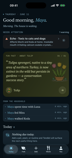 Today screen in the Tide palette, dark mode