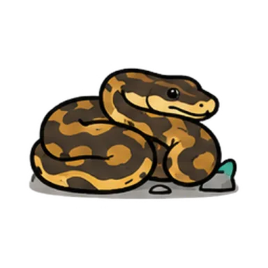 Ball python illustration