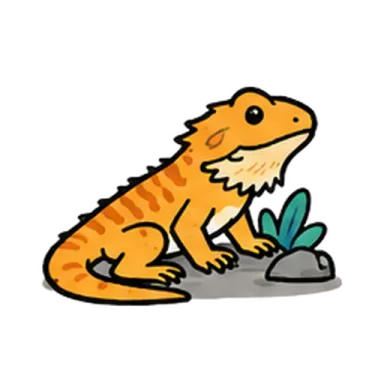 Bearded dragon