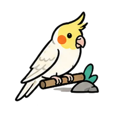 Cockatiel